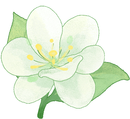 升鸿网 金山这四个区管公路养护项目最新进展