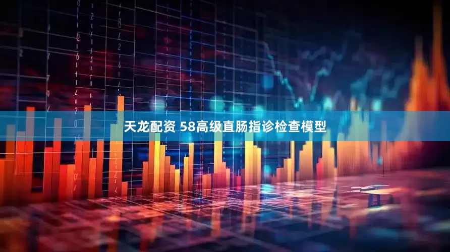 天龙配资 58高级直肠指诊检查模型